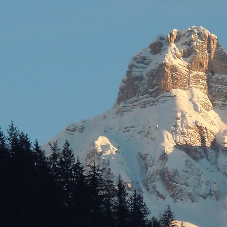 Affittacamere Pizzeria Marmolada Rocca Pietore Luaran gambar