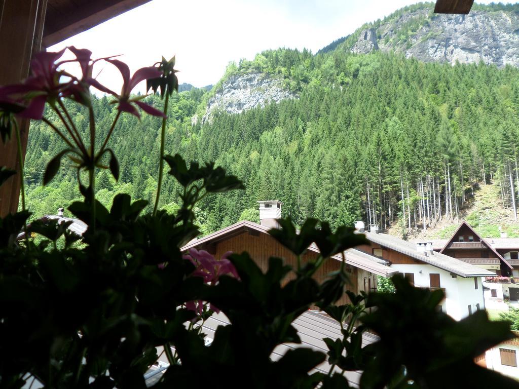 Affittacamere Pizzeria Marmolada Rocca Pietore Luaran gambar