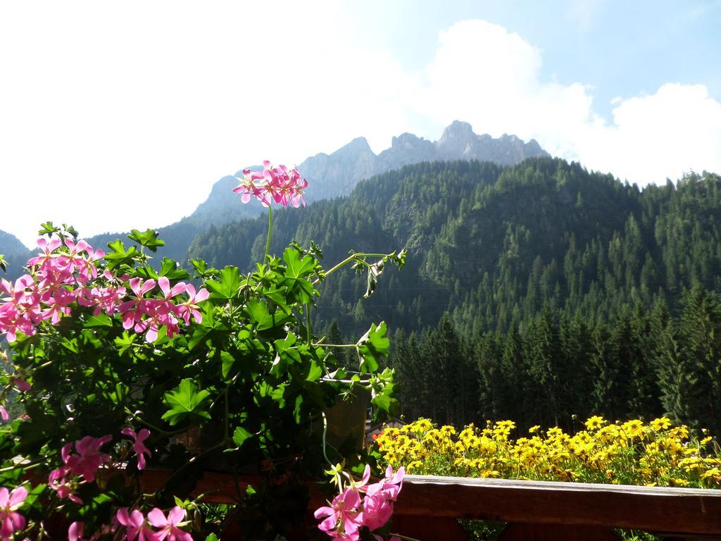 Affittacamere Pizzeria Marmolada Rocca Pietore Luaran gambar